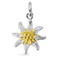 Anhänger Silber 