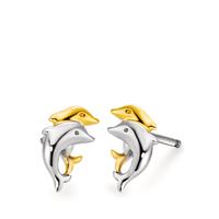 Ohrstecker Silber 
