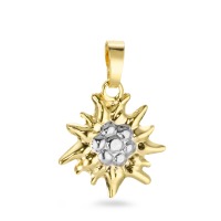 Anhänger 375/9 K Gelbgold 