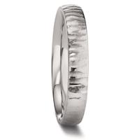 Partnerring Titan 