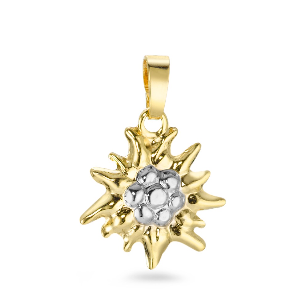 Anhänger 375/9 K Gelbgold 